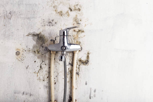 Best Mold Testing and Inspection Services in Boyes Hot Springs, CA