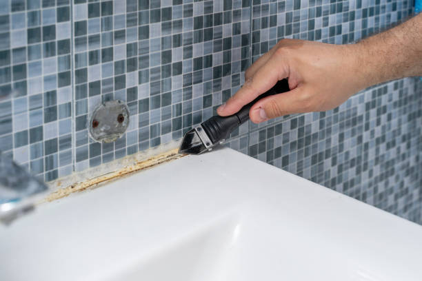 Best Basement Mold Remediation in Boyes Hot Springs, CA